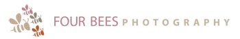 four bees photography by carrie duncan